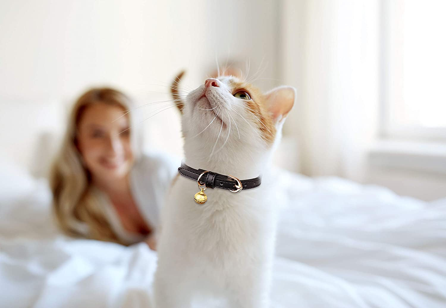 Leather Cat Collar Set - 3 Pack Soft Safety Collars with Bells in Black, Chocolate, and Beige (XS)